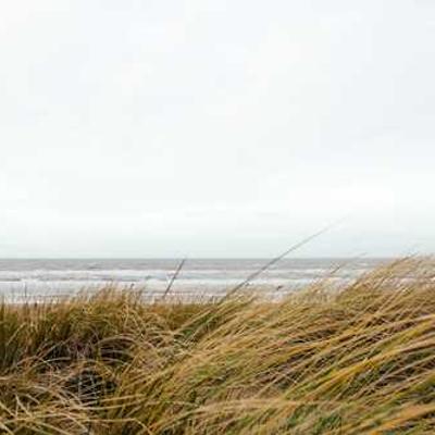 ABROCHADORA PINZA GRANDE N10 CROMADA